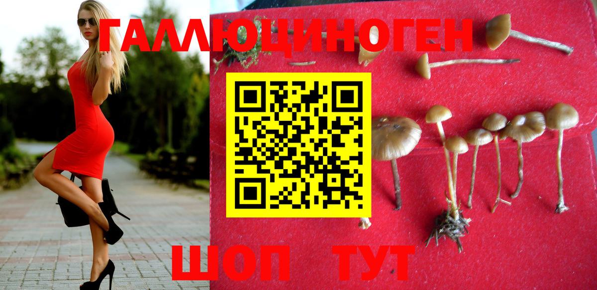 Галлюциногенные грибы Psilocybe  Вход с VPN  Чебоксары 